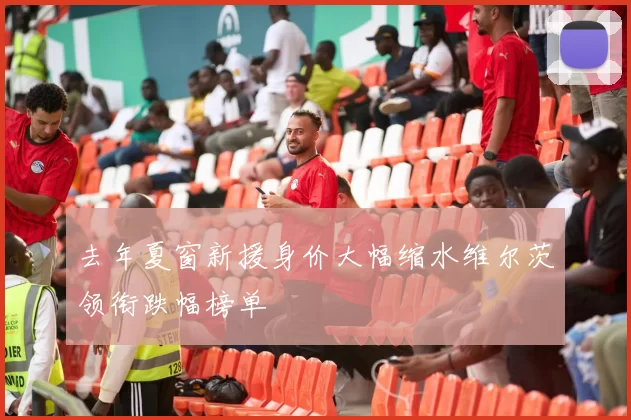 去年夏窗新援身价大幅缩水维尔茨领衔跌幅榜单