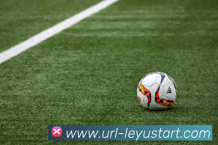 乐鱼体育发展历程